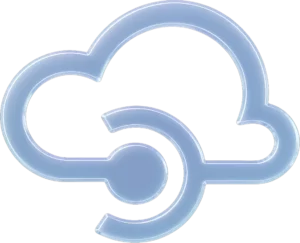 API Management