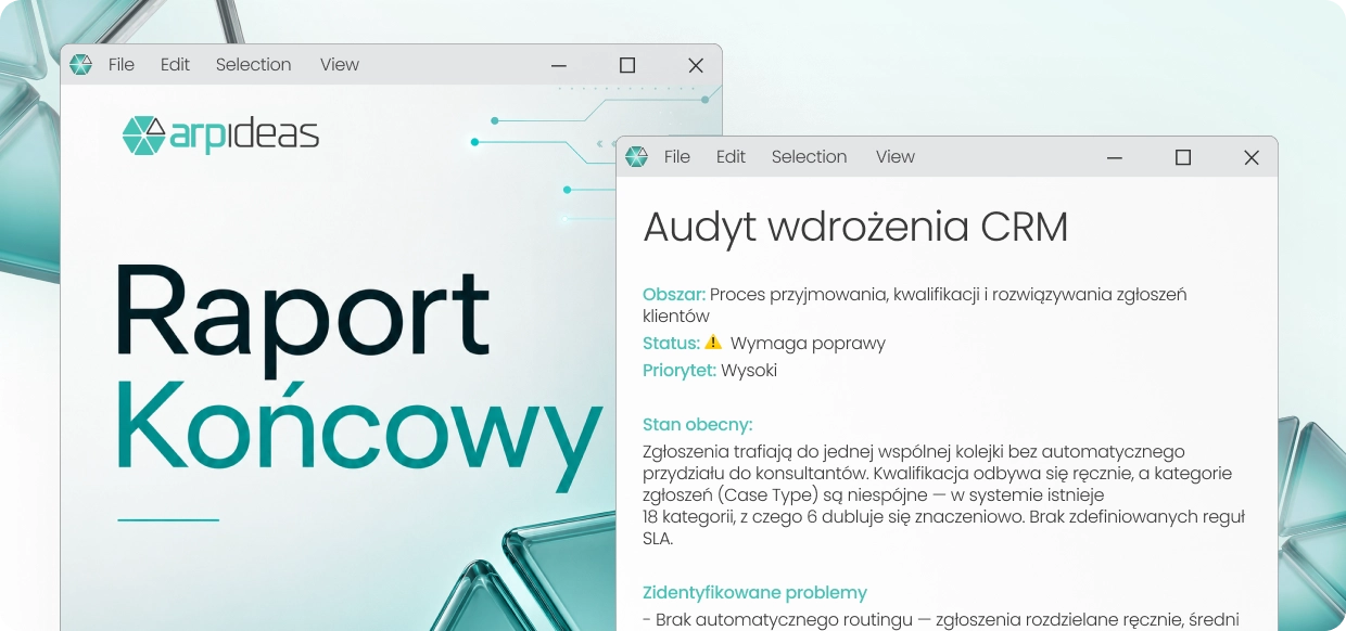 Przykładowy raport z audytu wdrożenia CRM w interfejsie ARP Ideas